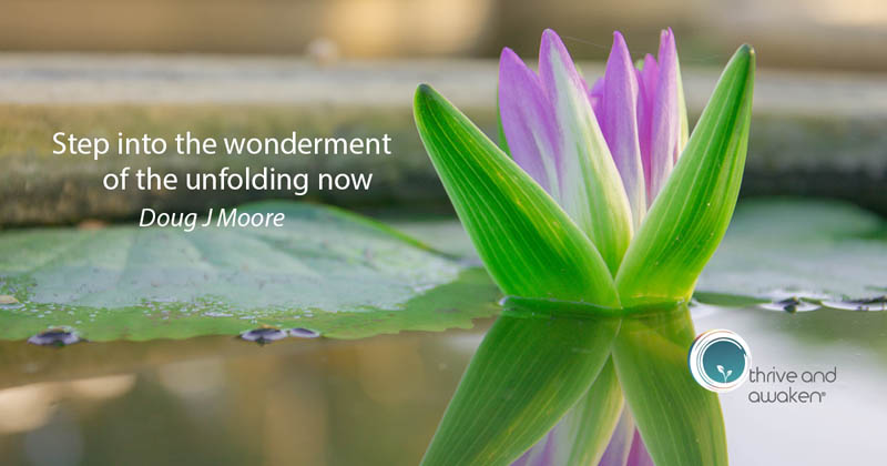 Flower emerging from pond with quote from Doug: Step into the wonderment of the unfolding now